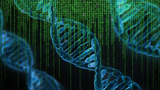A Frightening Quest in Armament: DNA Weaponization and Genetic Data